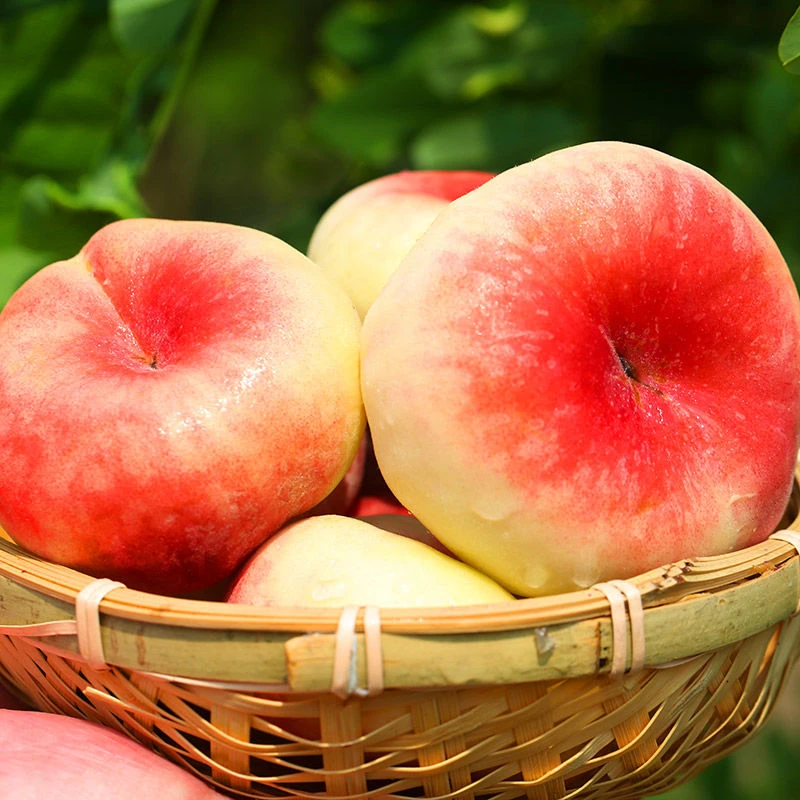 本地蟠桃1000g±50g浙江省