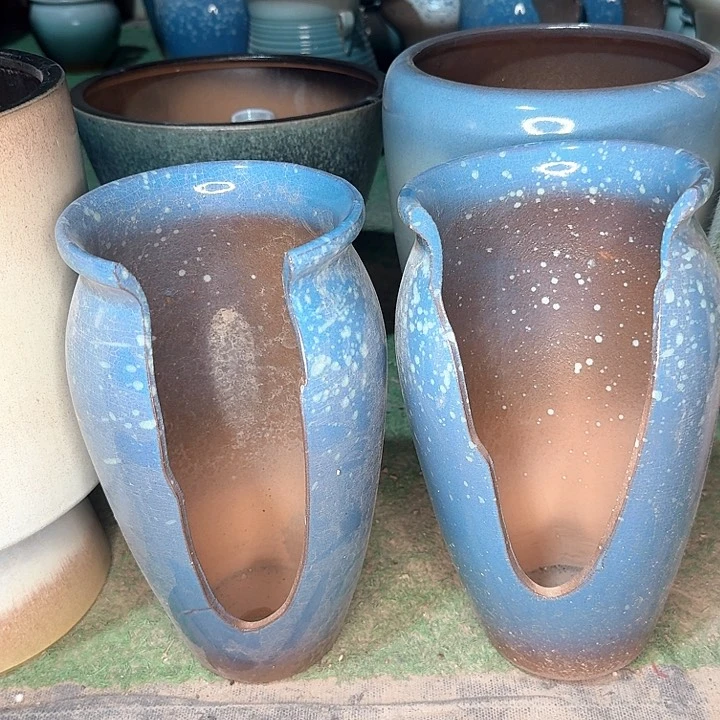 微瑕花盆啦啦来啦