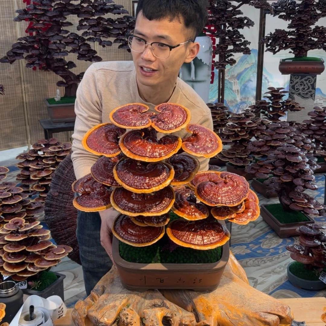 【闪购商品】88888