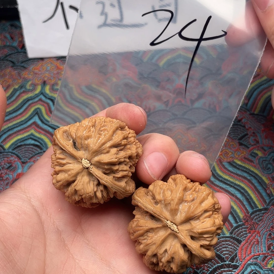 核桃哈哈哈哈哈哈哈哈哈