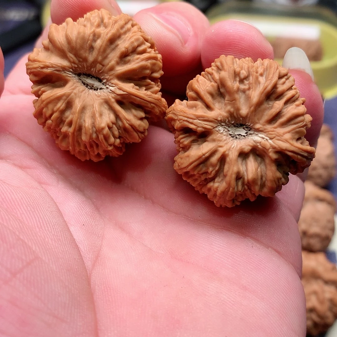 文玩核桃把件龍*福利