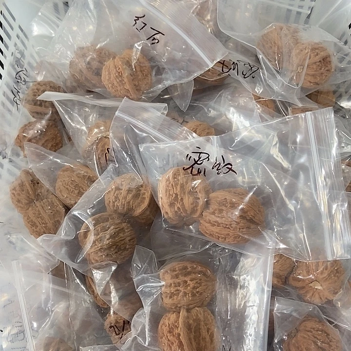 吊坠文玩核桃密纹团购