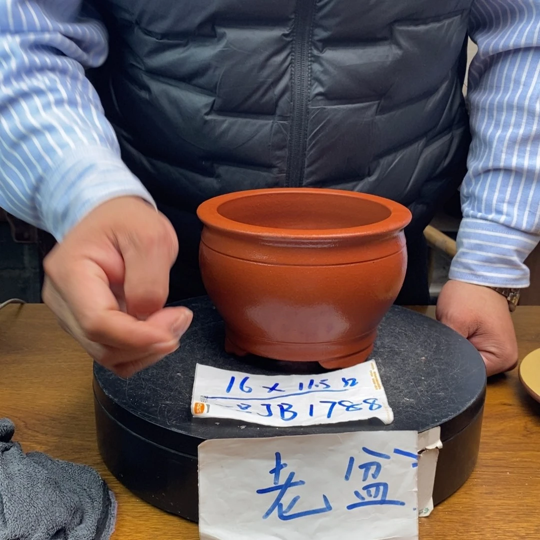 紫砂货号一只JB1788红