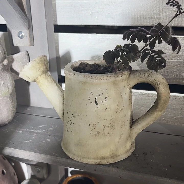 许纯的花房 白色水壶