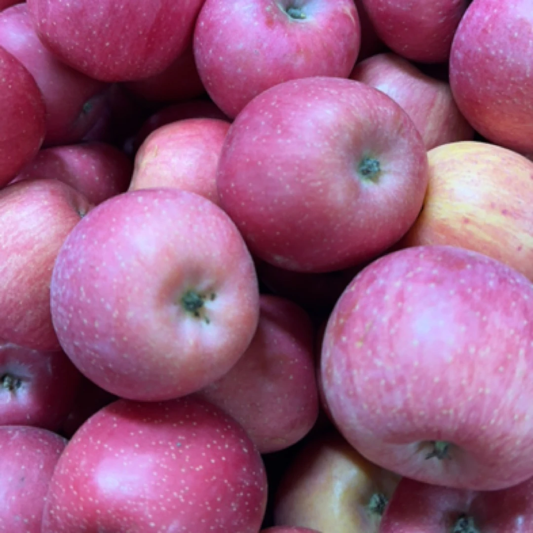 小冰糖心1份约500g