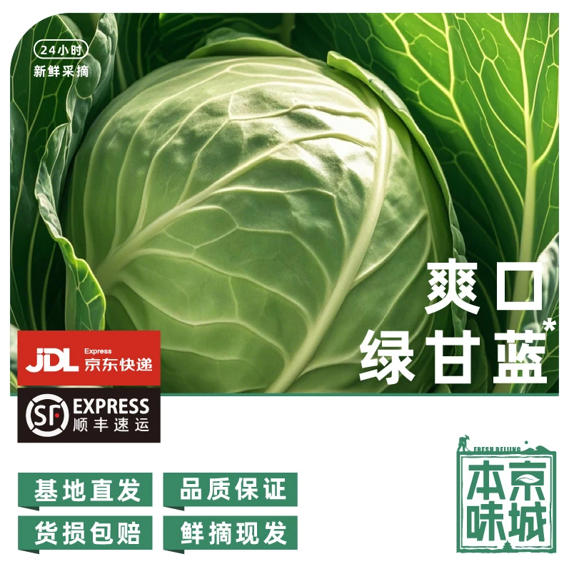 房【老太太家菜园子-绿甘蓝】3斤（±2两）/ 脆嫩营养清爽鲜甜 农家肥 真健康绿色蔬菜甘蓝