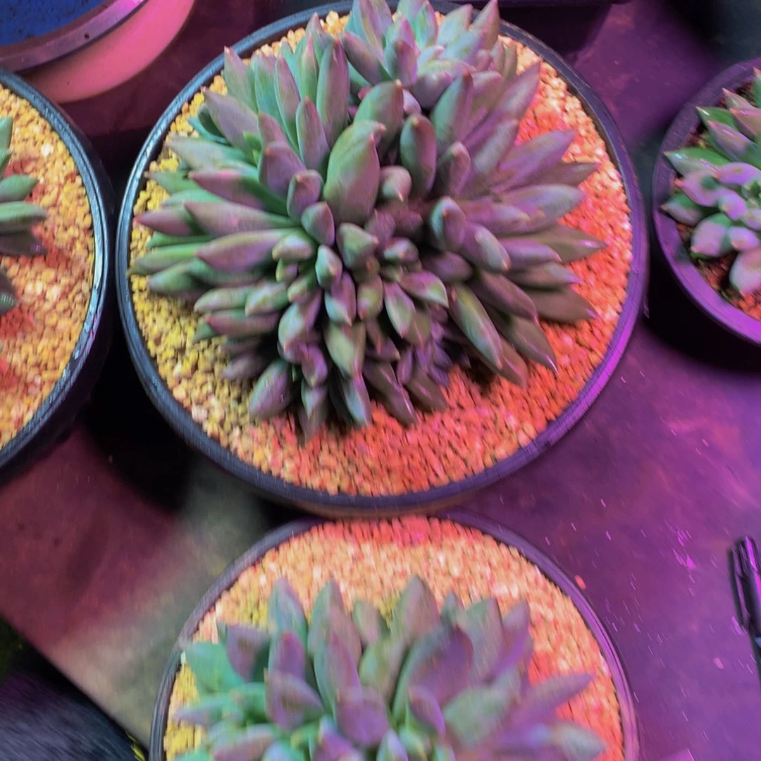 ︶***࿐哈哈哈哈哈哈哈哈哈哈哈哈