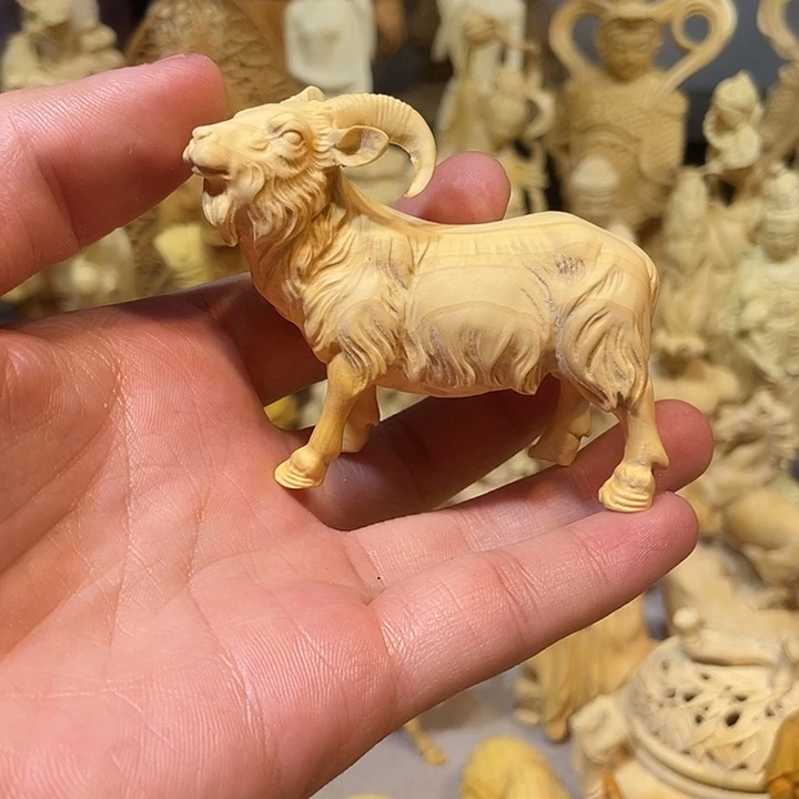 黄杨木黄杨木领头羊