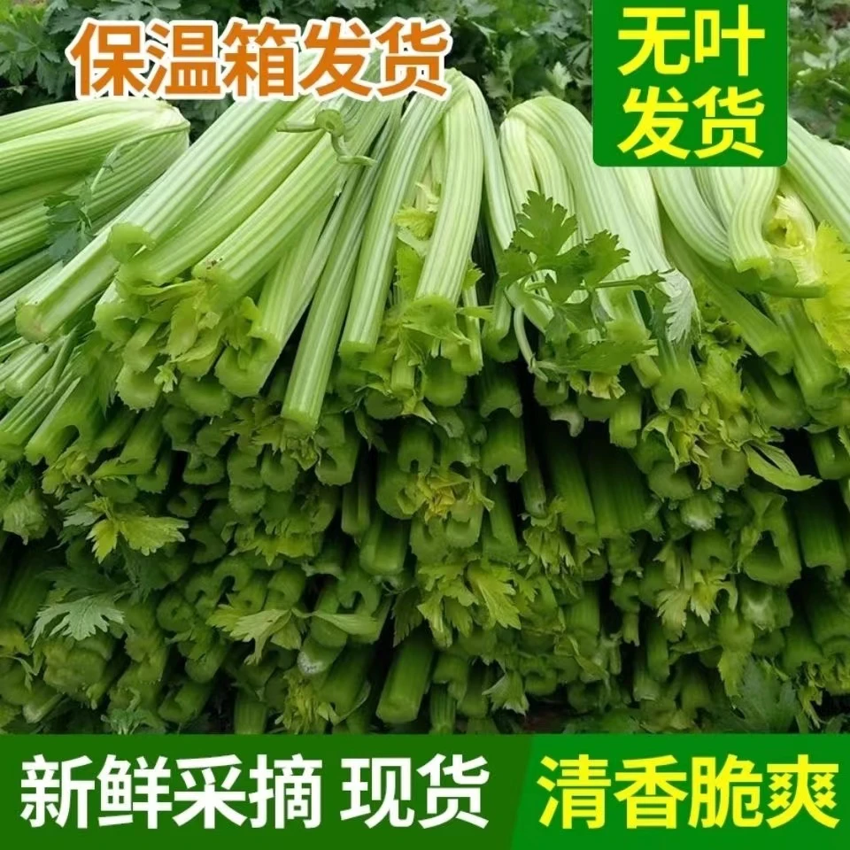 【平哥平嫂专属】山东新鲜去半叶西芹芹菜5斤大颗水果榨汁