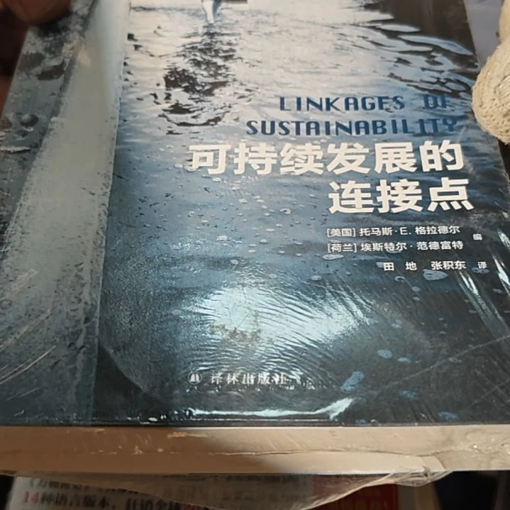 可持续发展的连接点平装库存书