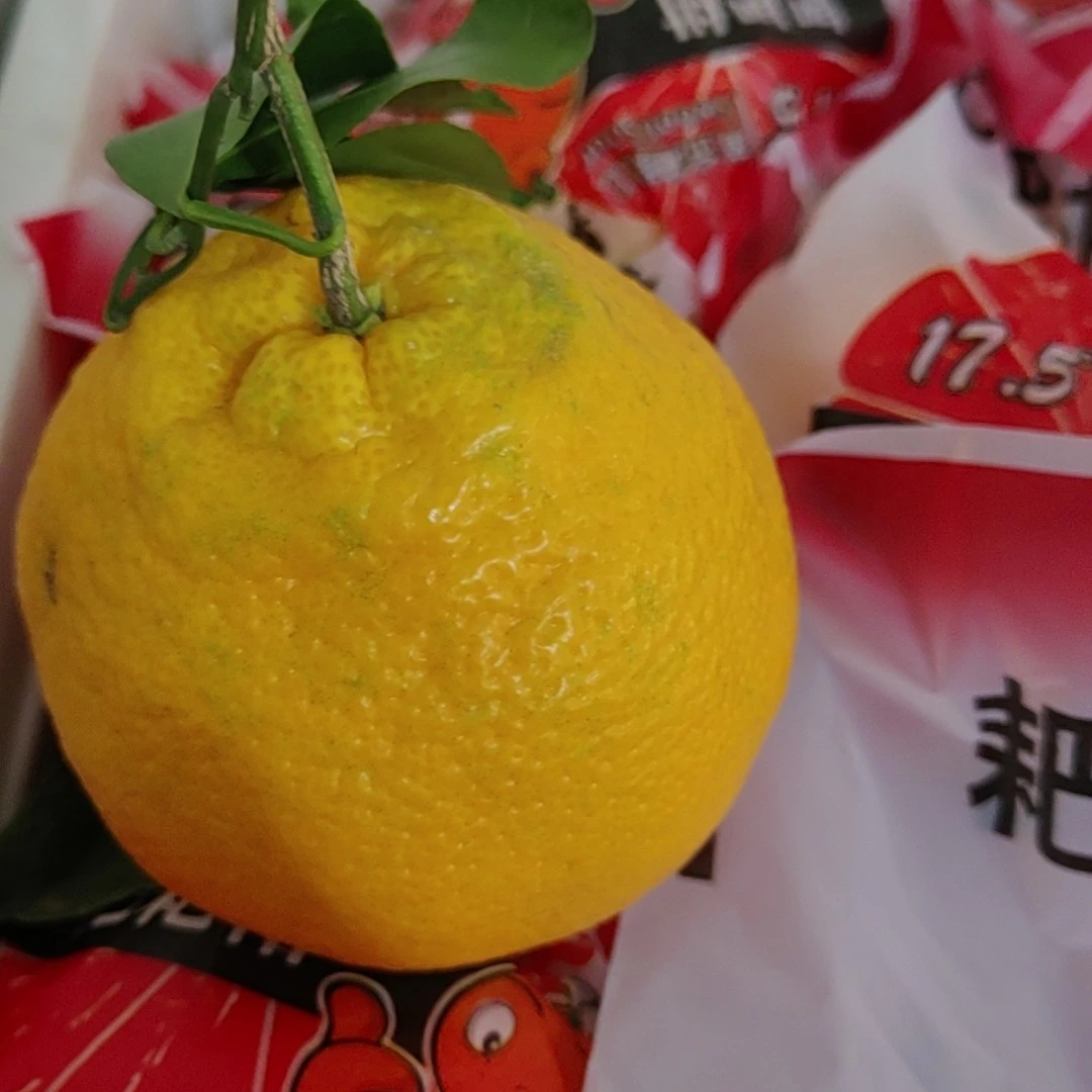四川精品耙耙柑8斤99元。礼盒装耙耙柑四川省眉山市