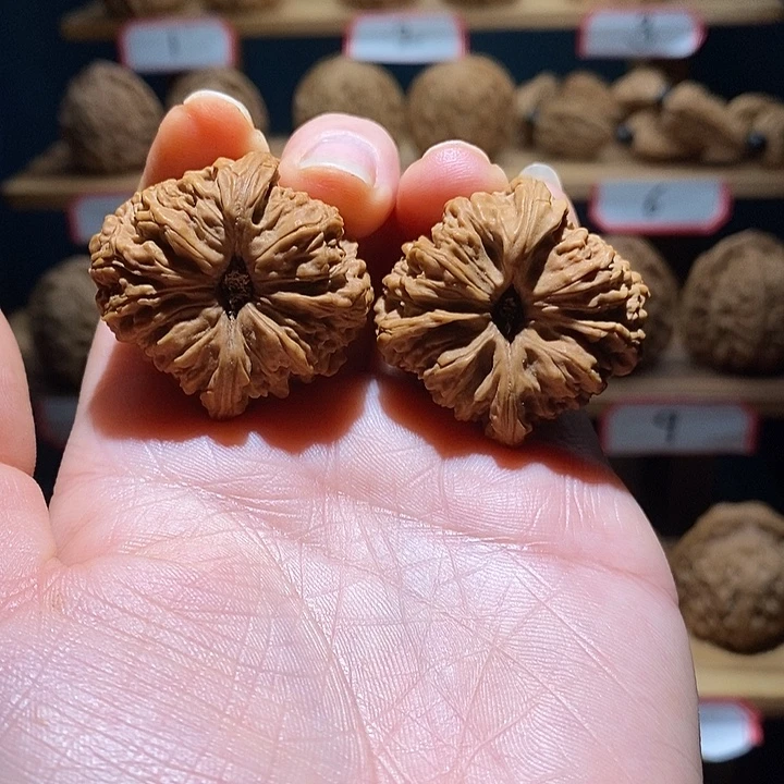 好***生南将石文玩核桃35