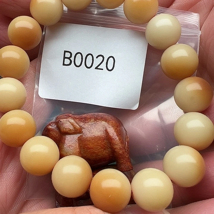 手串菩提根/象牙果