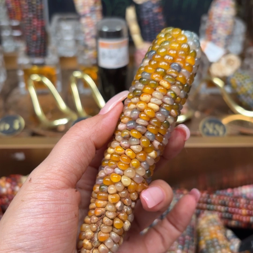 柏香籽/百香籽吊坠万*。