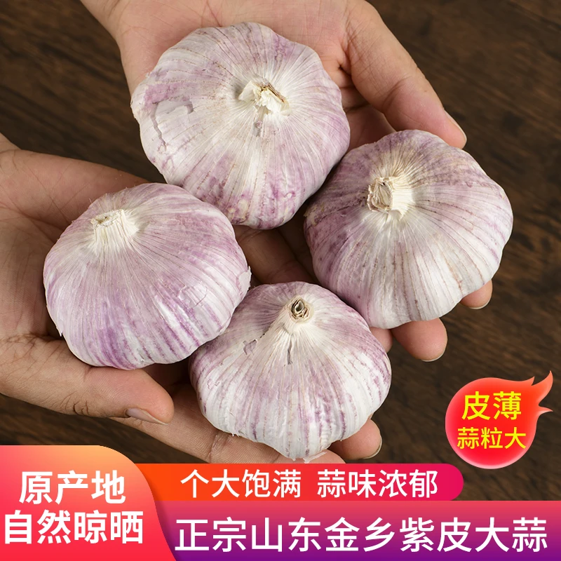 【甄选5斤果王】2025年山东紫皮农家自种新鲜干蒜
