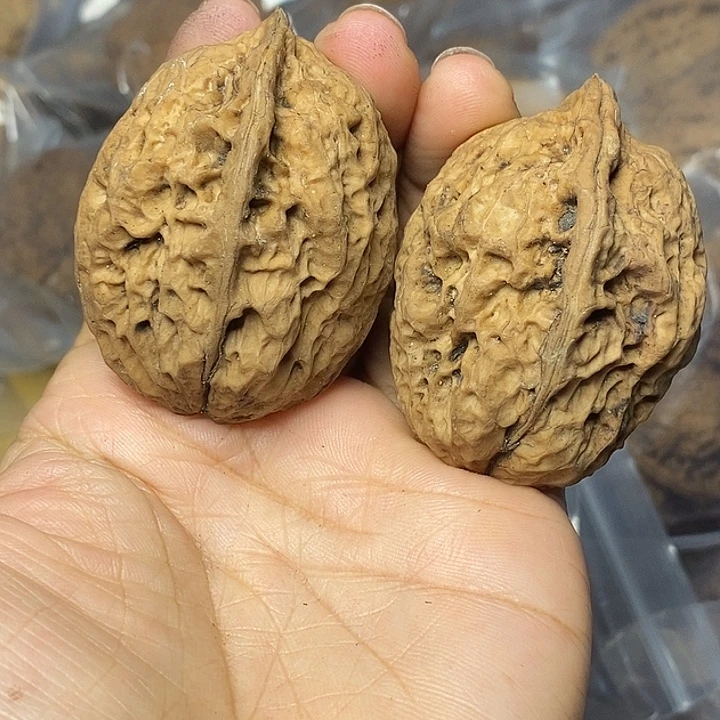 文玩核桃把件云南铁核桃61
