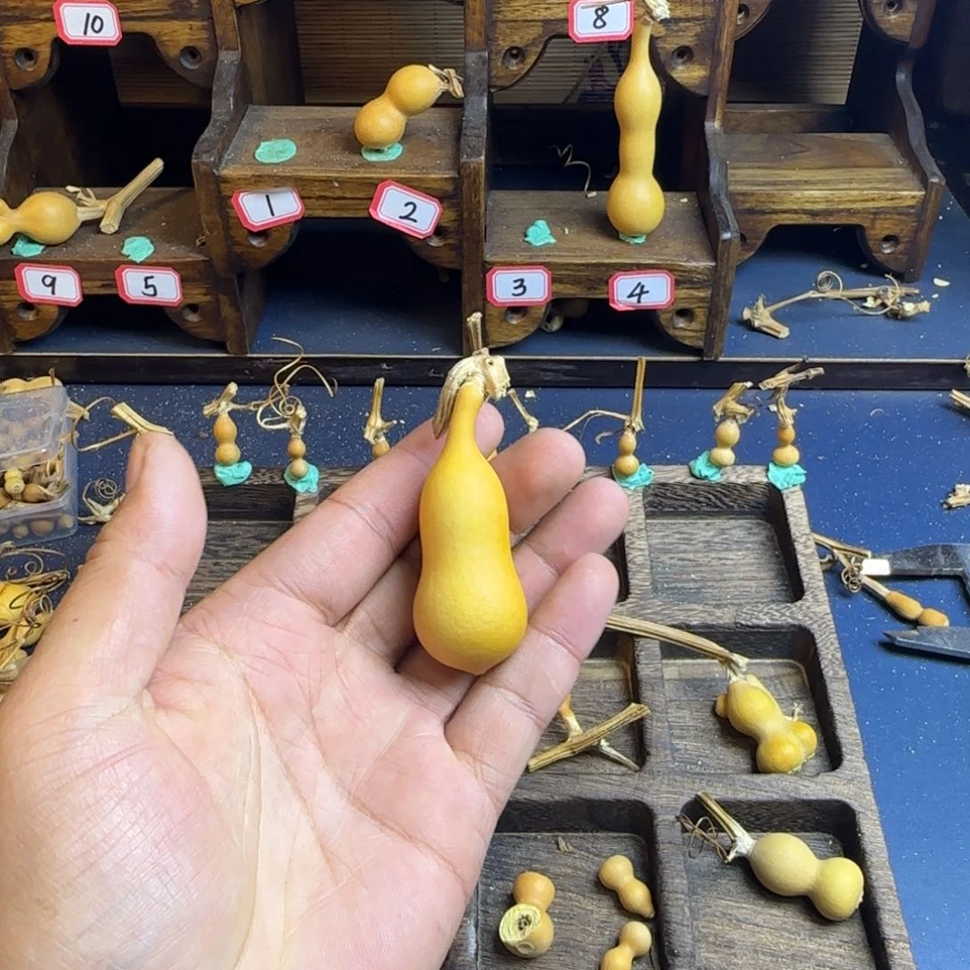 R****a我是一只小小鸟地域鬼的人生观