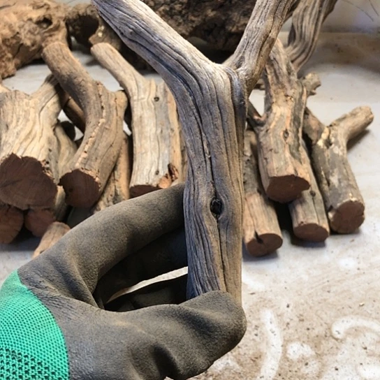 大果紫檀（缅甸花梨）傻*