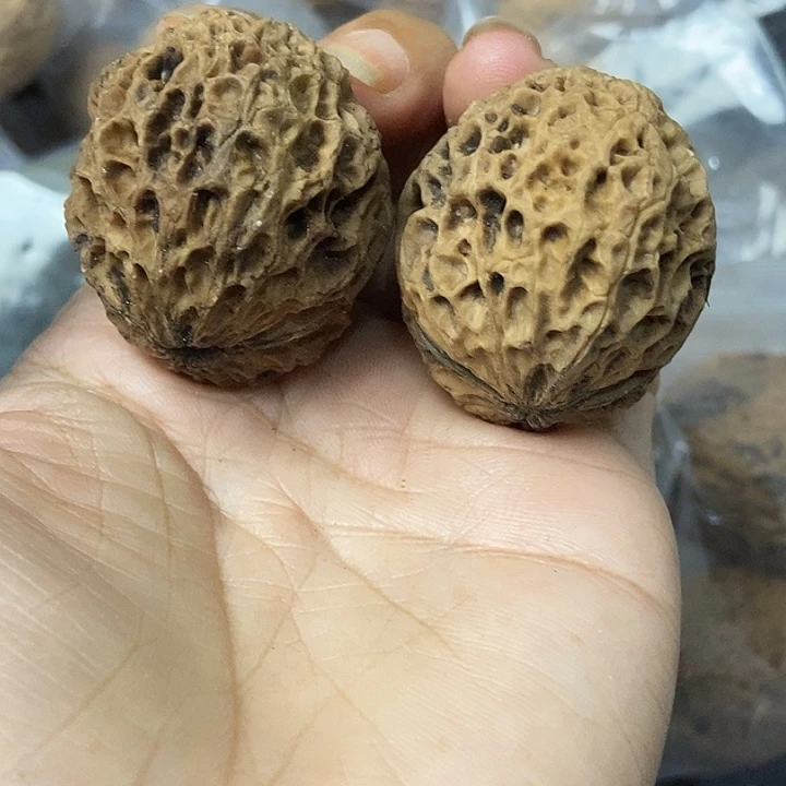 文玩核桃把件云南铁核桃基地5