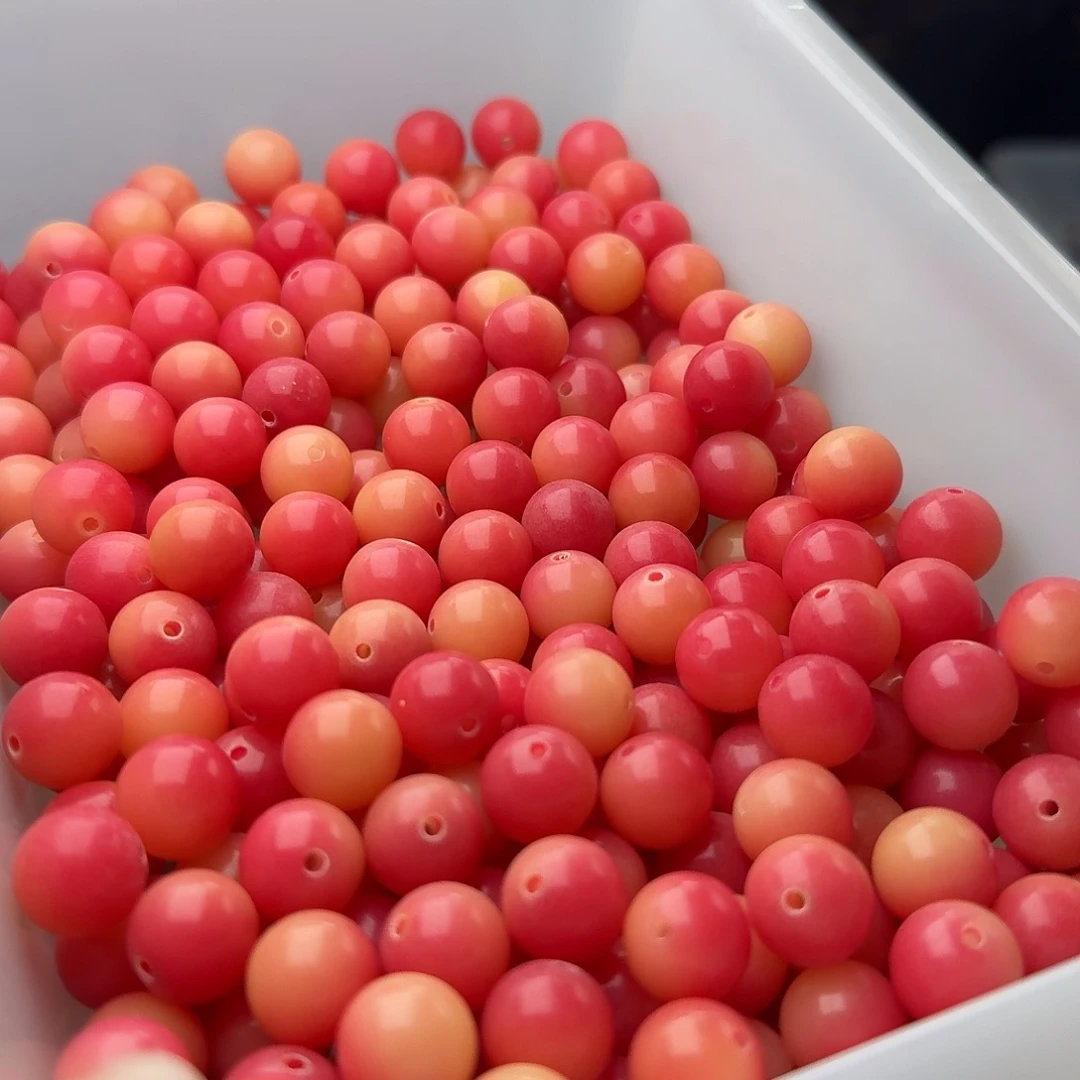 吊坠菩提根/象牙果50 颗繁花 12 圆