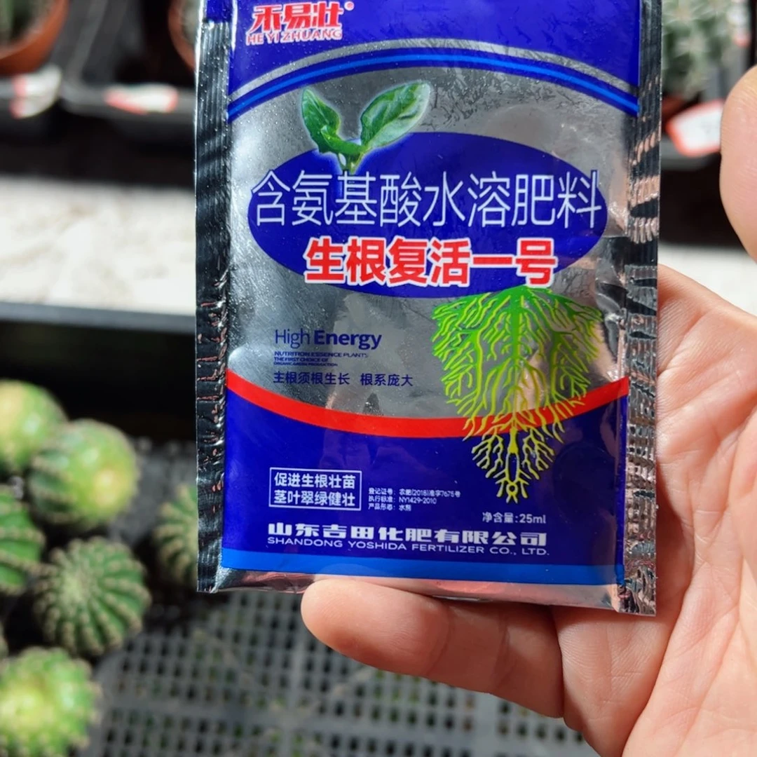 下仙人球用生根复活一号25毫升20包邮