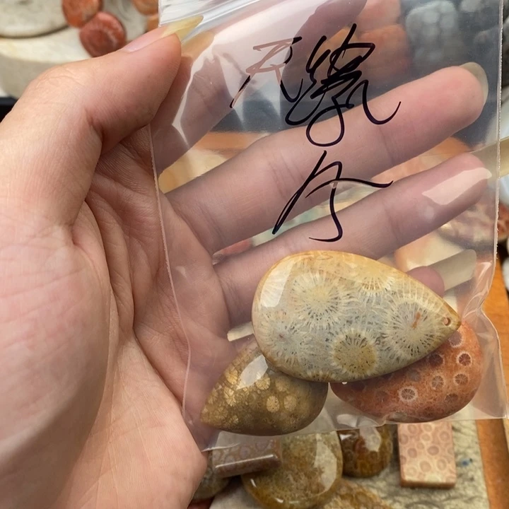 无***对硅化玉（树化玉）未镶嵌颈饰