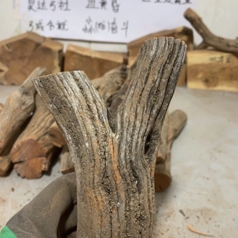 大果紫檀（缅甸花梨）淡**尘