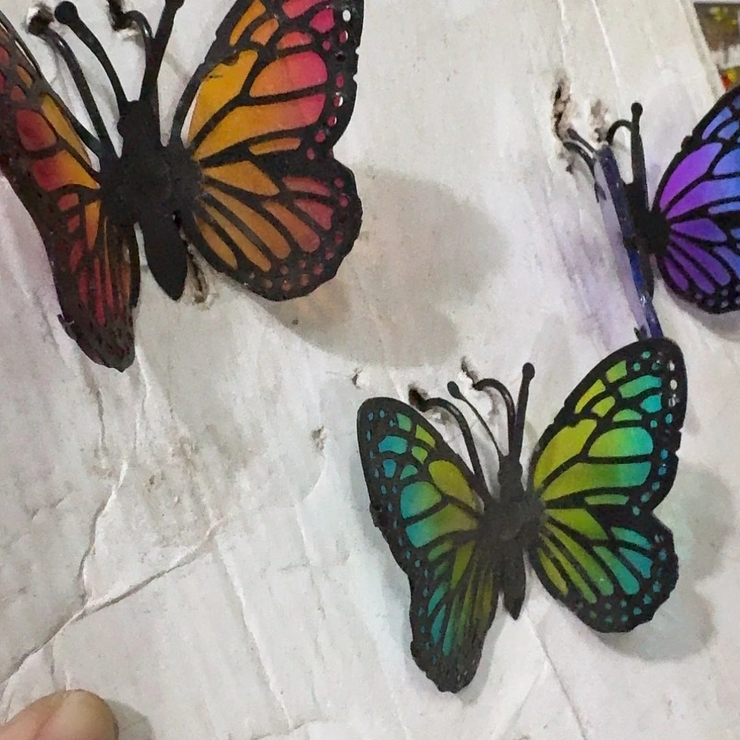 核桃木/黑胡桃（胡桃木）