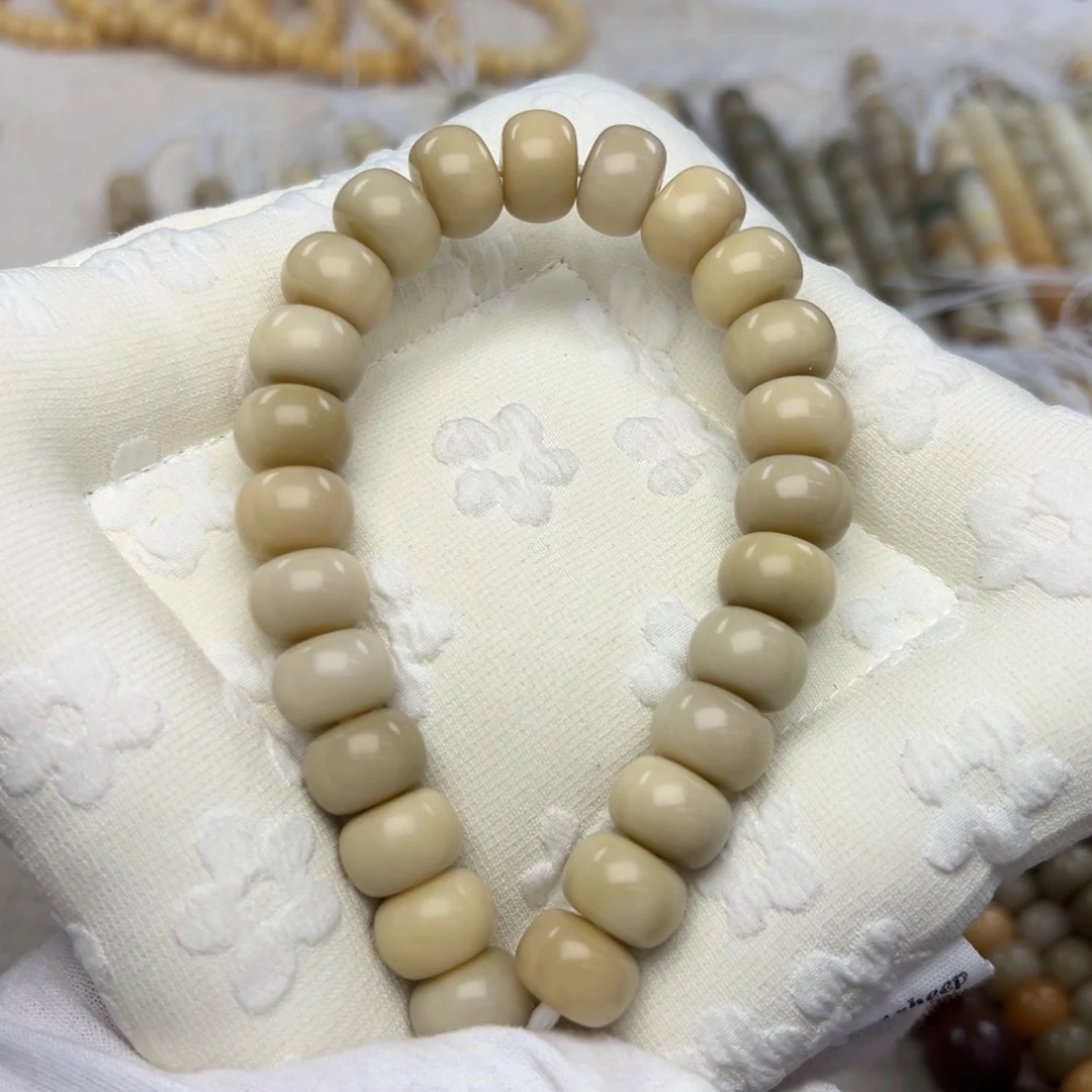 吊坠菩提根/象牙果14干磨燕麦奶咖药片557