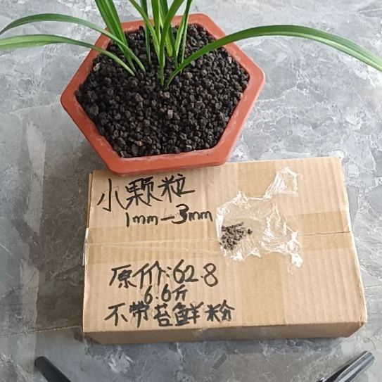 真***待兰菌黑山土小颗粒6.6斤