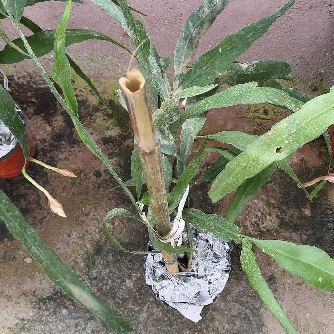 哈哈哈哈哈哈哈哈哈哈哈