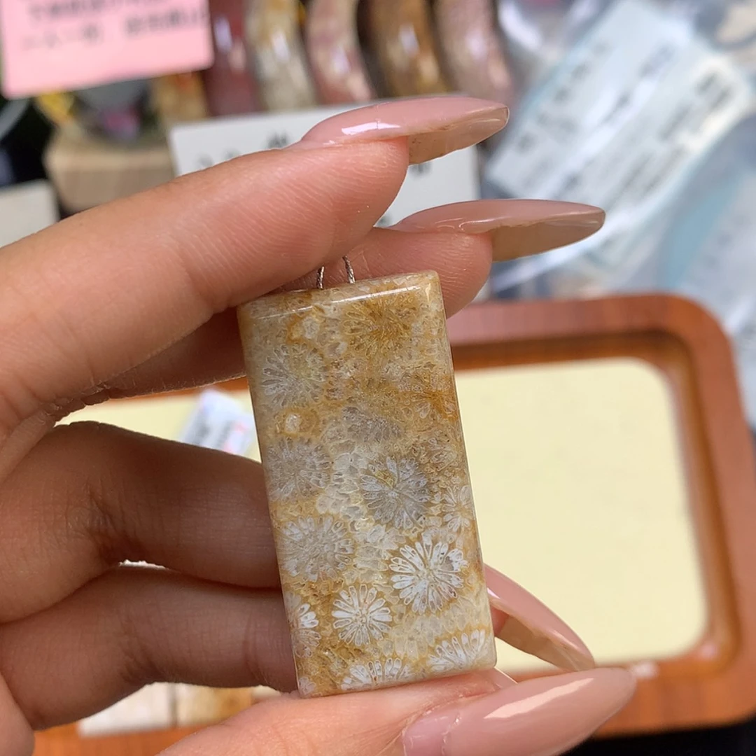 【闪购商品】颈饰未镶嵌硅化珊瑚（珊瑚玉）药*