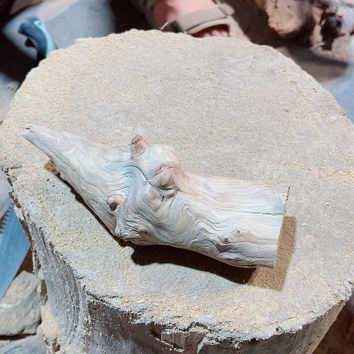 柏***锦柏木太行山区柏木木木