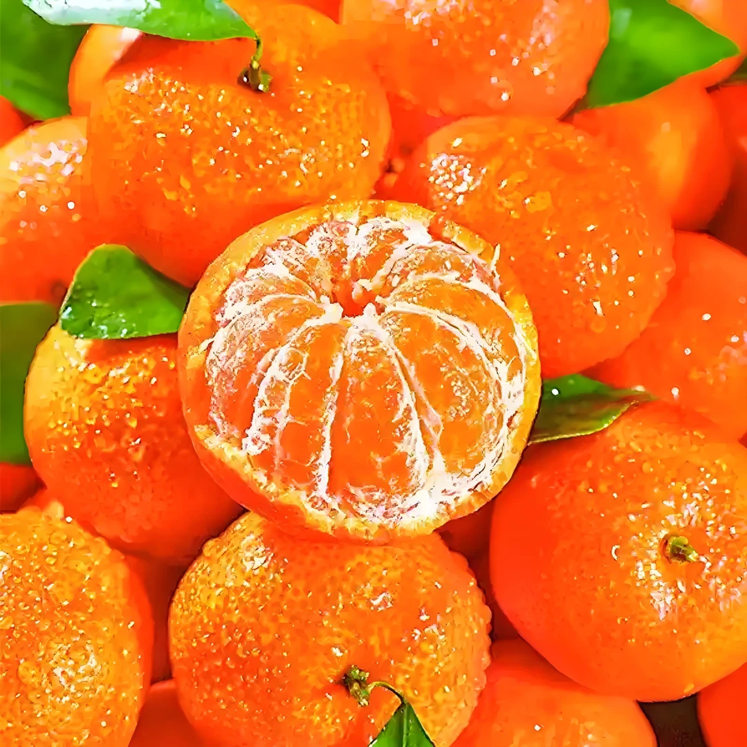 砂糖桔/份500g±5g广西
