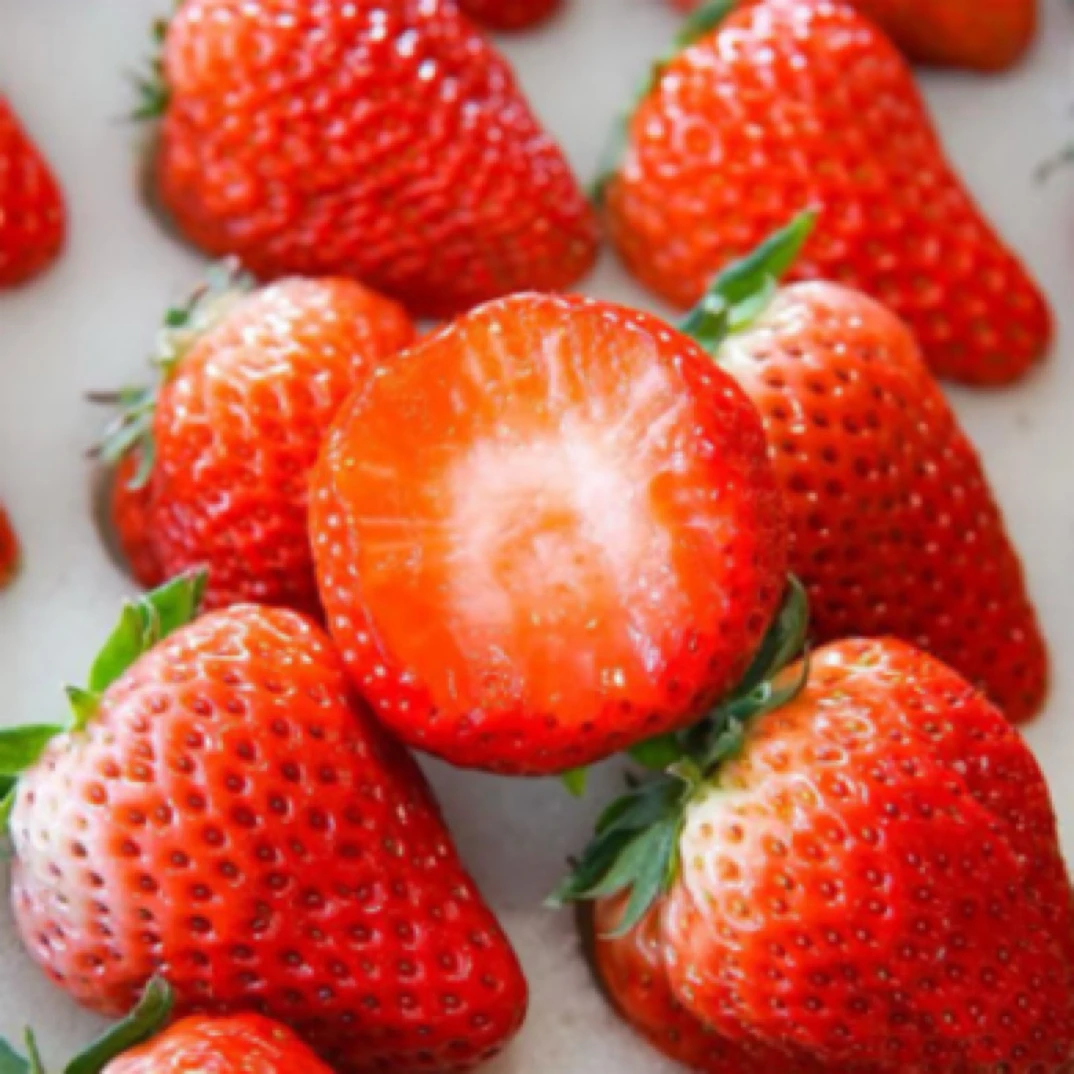 四川成都巧克力红颜草莓（1斤）