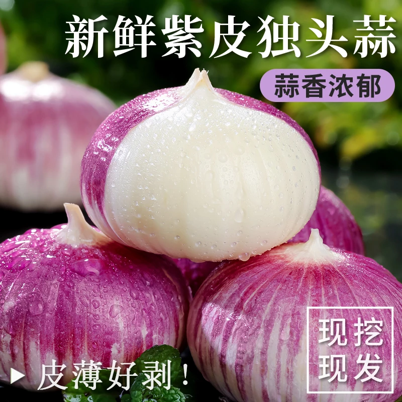 新鲜紫皮独头蒜农家爆香小香蒜大蒜头独蒜新鲜批发腊八鲜蒜