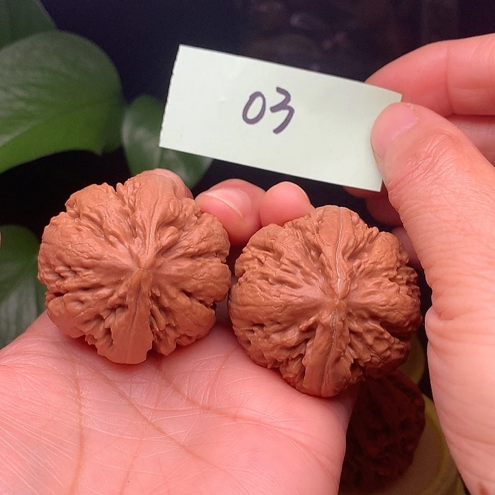【闪购商品】把件文玩核桃41霸王龙03