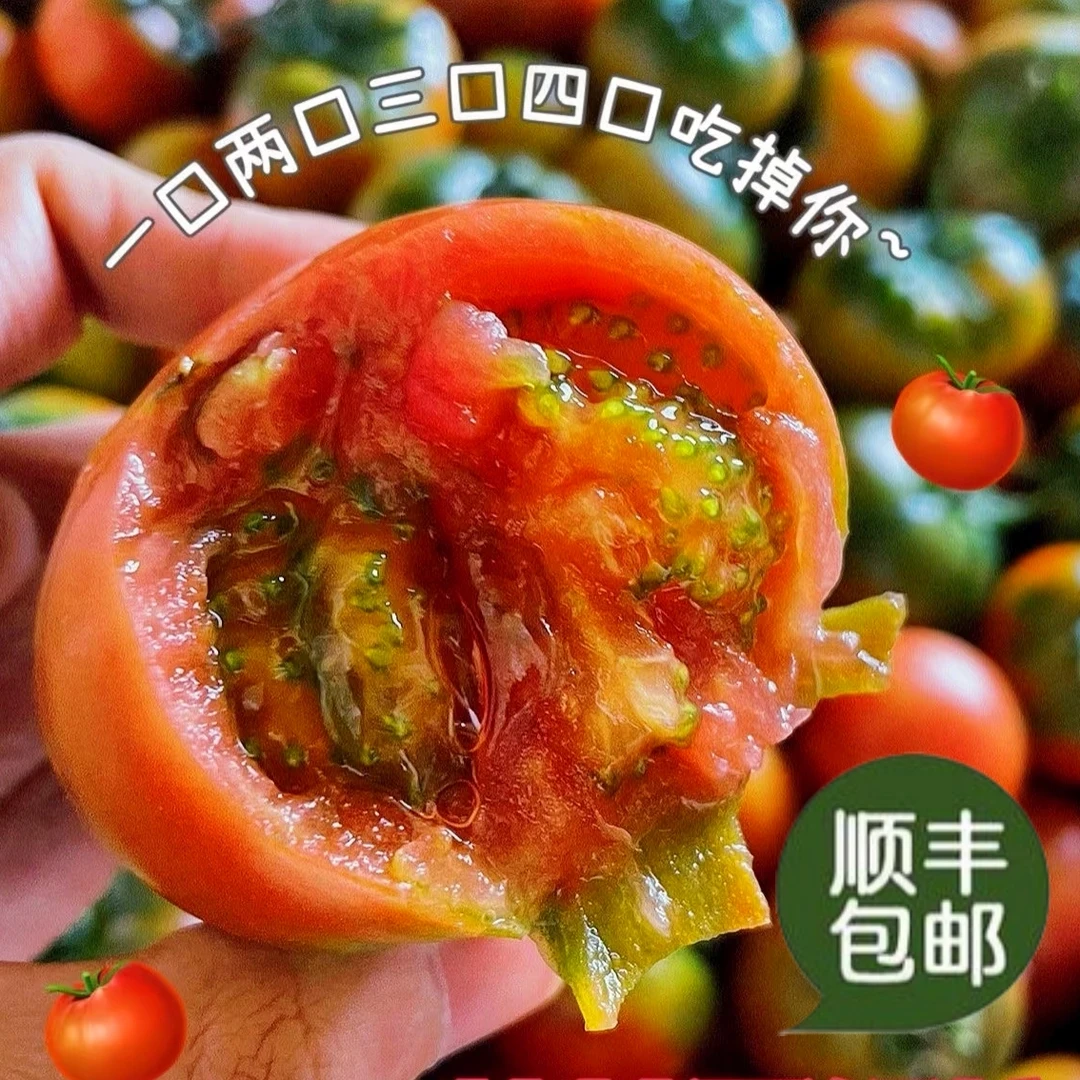 宠粉款东北草莓柿子铁皮柿子3斤试吃装