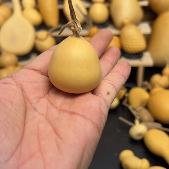 派*鑫1588888899999