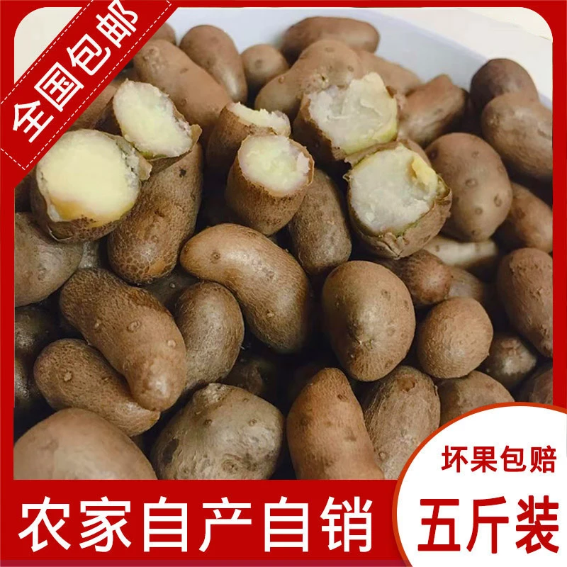 铁棍小山药豆5斤装农家自产自销新鲜好吃