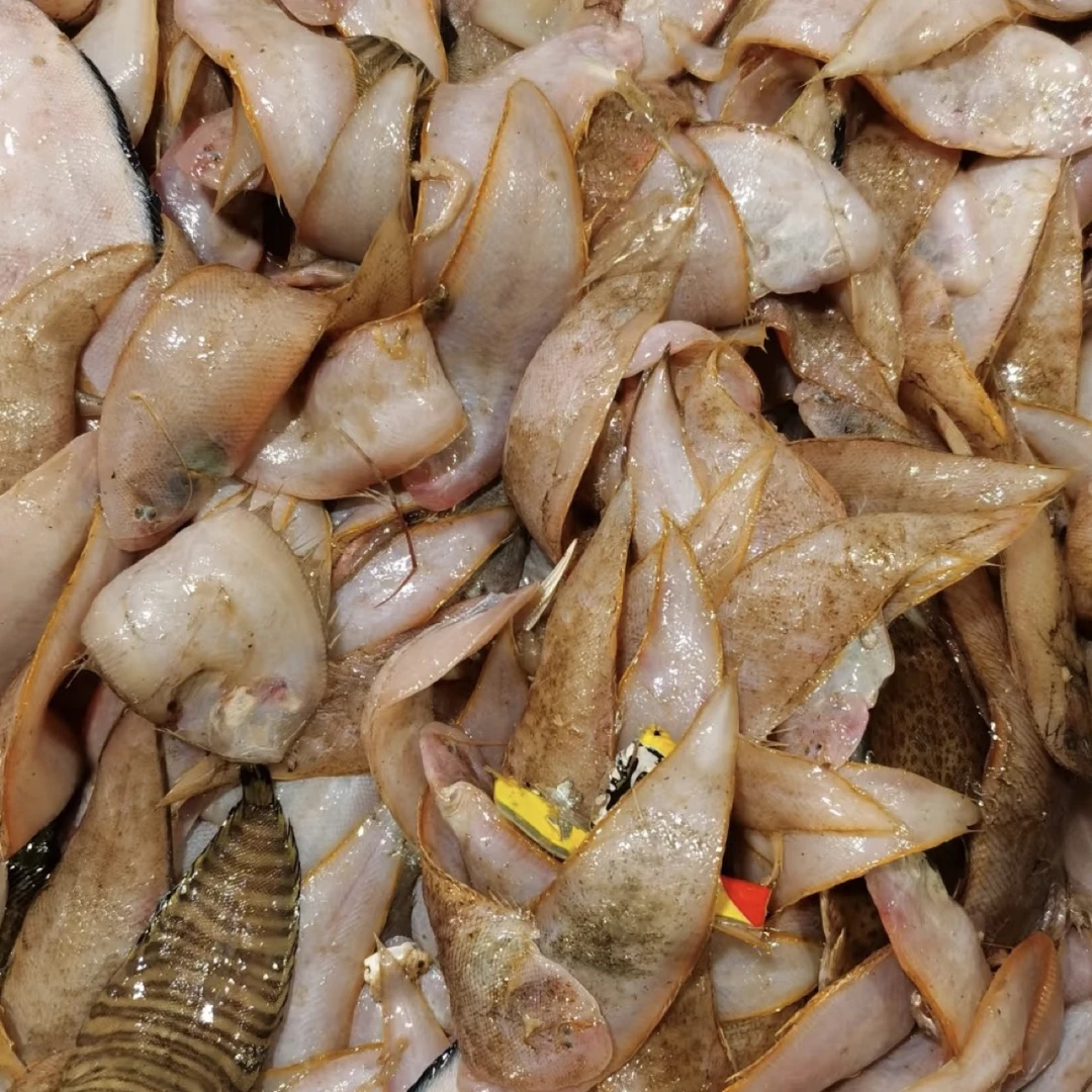 潮汕惠来神泉厚肉小龙利