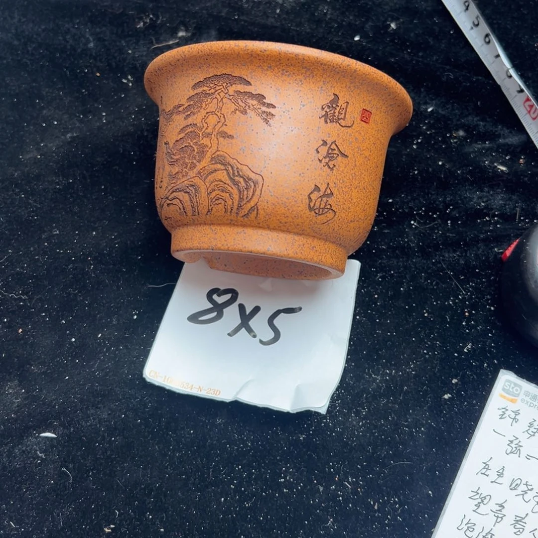 wwwwwwww娥娥薇薇