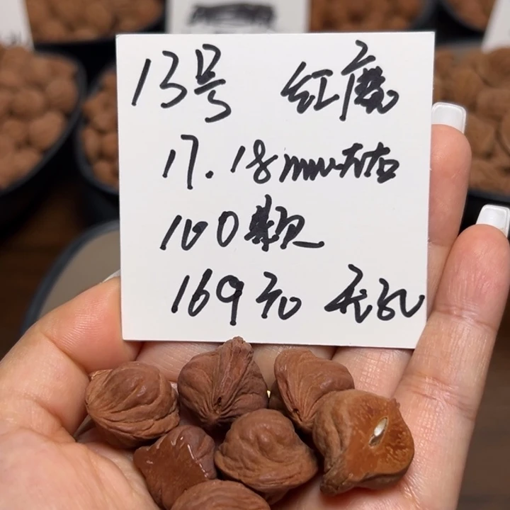 木质类雕刻料肚卡17-18 100颗