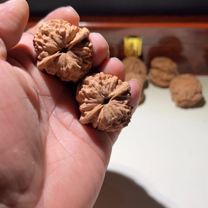 文玩核桃把件苏*鱼鳞纹马蹄