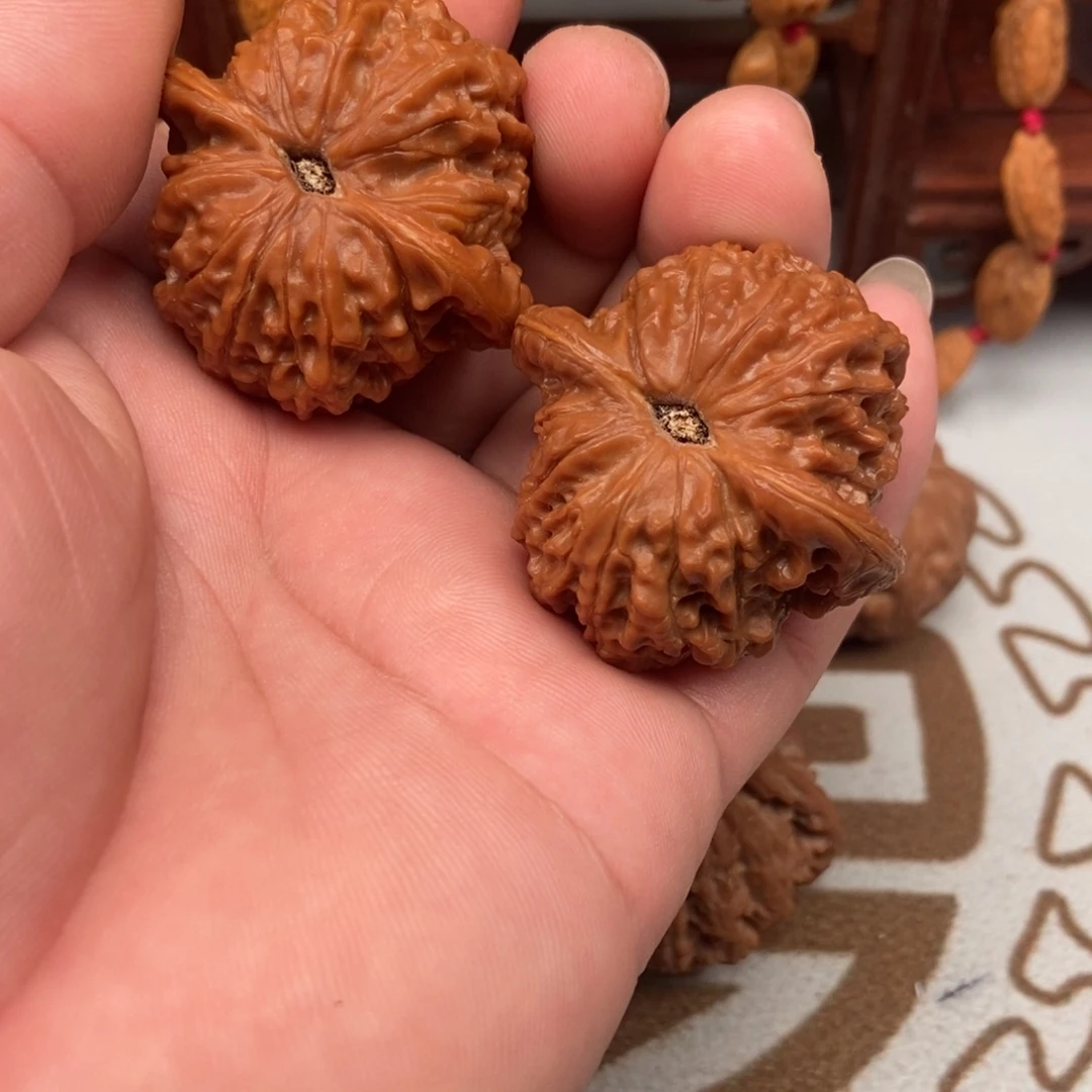 大叶紫檀（黑酸枝木类）血麒麟