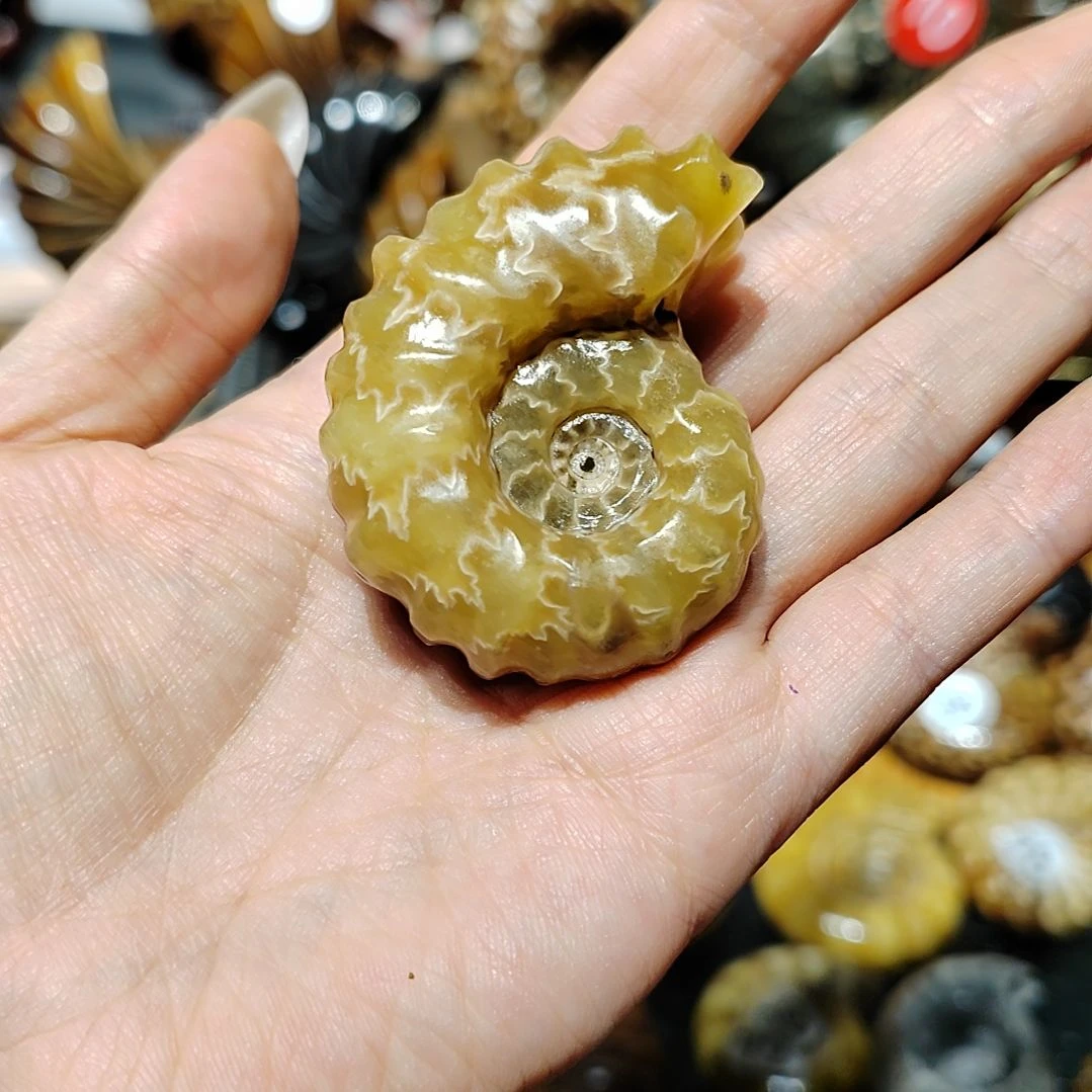 一**阳玉海螺化石手把件吊坠