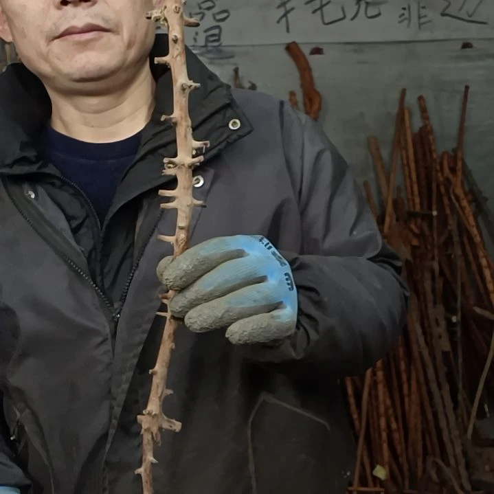 稳定木钧**青贵州檬子木   铁马鞭   根艺  半成品