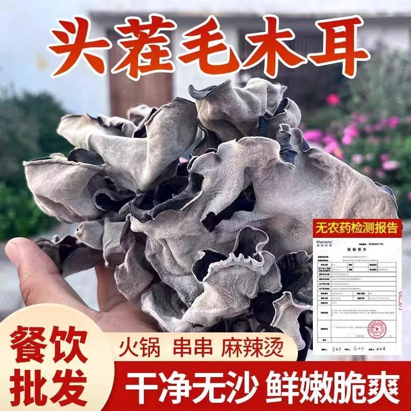 【6.18大促】正宗头茬毛木耳干货批发精选大木耳脆木耳火锅干木耳