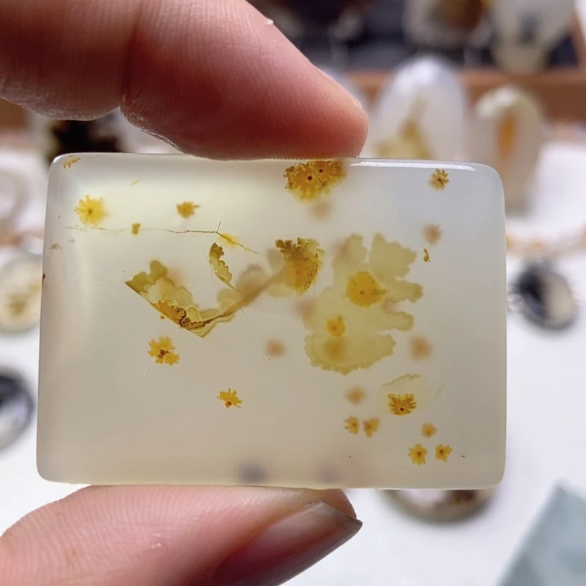 【闪购商品】玛瑙/玉髓颈饰未镶嵌