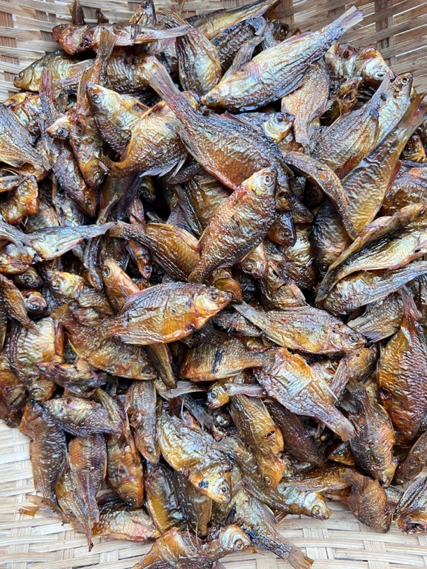 （鳑鲏鱼）苦憋丝小鱼干，新鲜江鱼去胆烟熏烘烤干